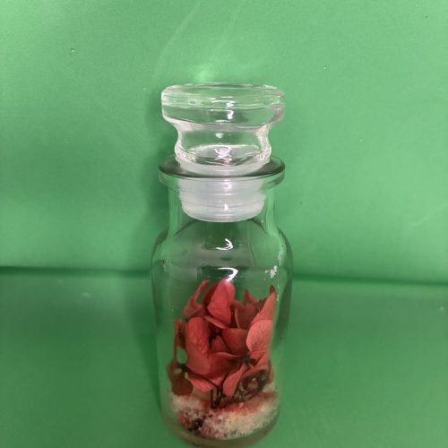 Fiole d'hortensia rouge