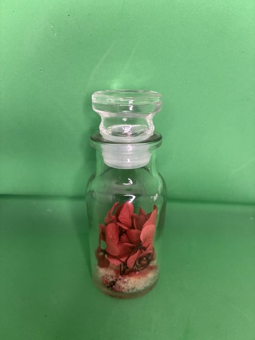 Fiole d'hortensia rouge