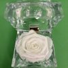 Rose éternelle en écrin