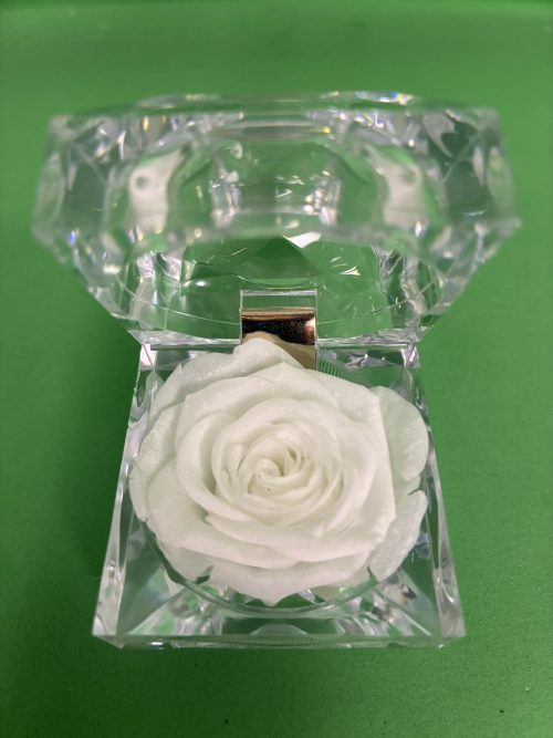 Rose éternelle en écrin