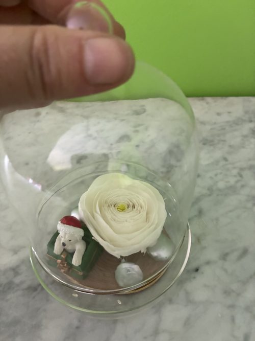 Noël Fleuri