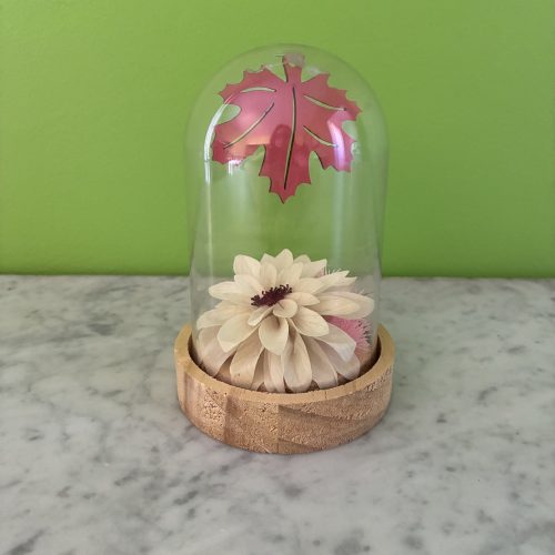 cloche dalhia