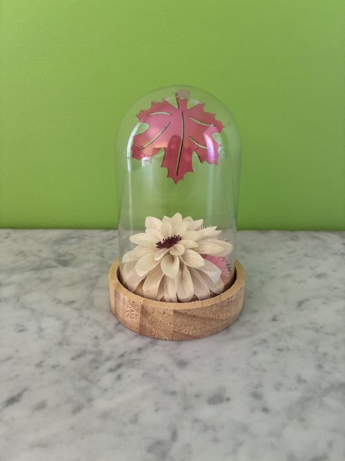 cloche dalhia
