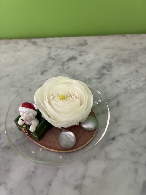 Noël Fleuri