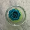 Harmonie Bleue