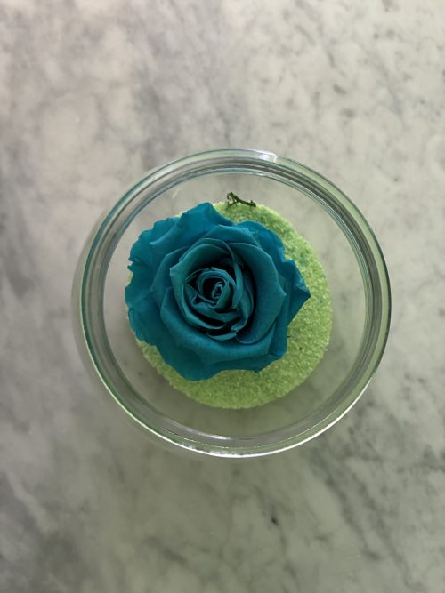 Harmonie Bleue