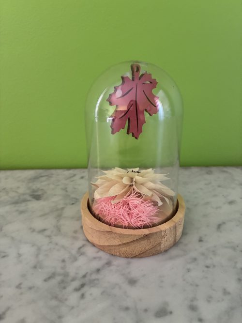 cloche dalhia