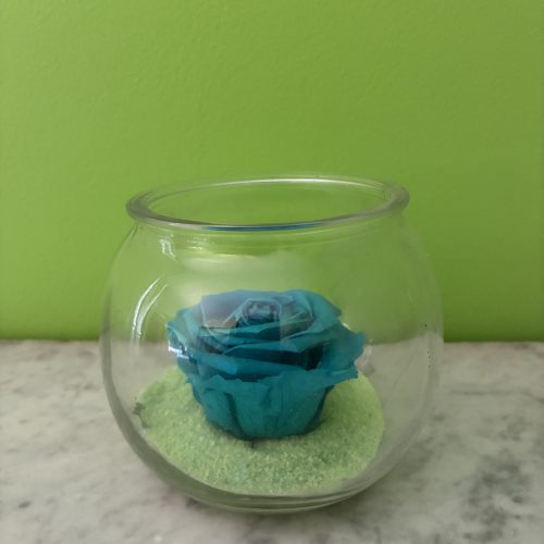 Harmonie Bleue