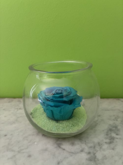 Harmonie Bleue