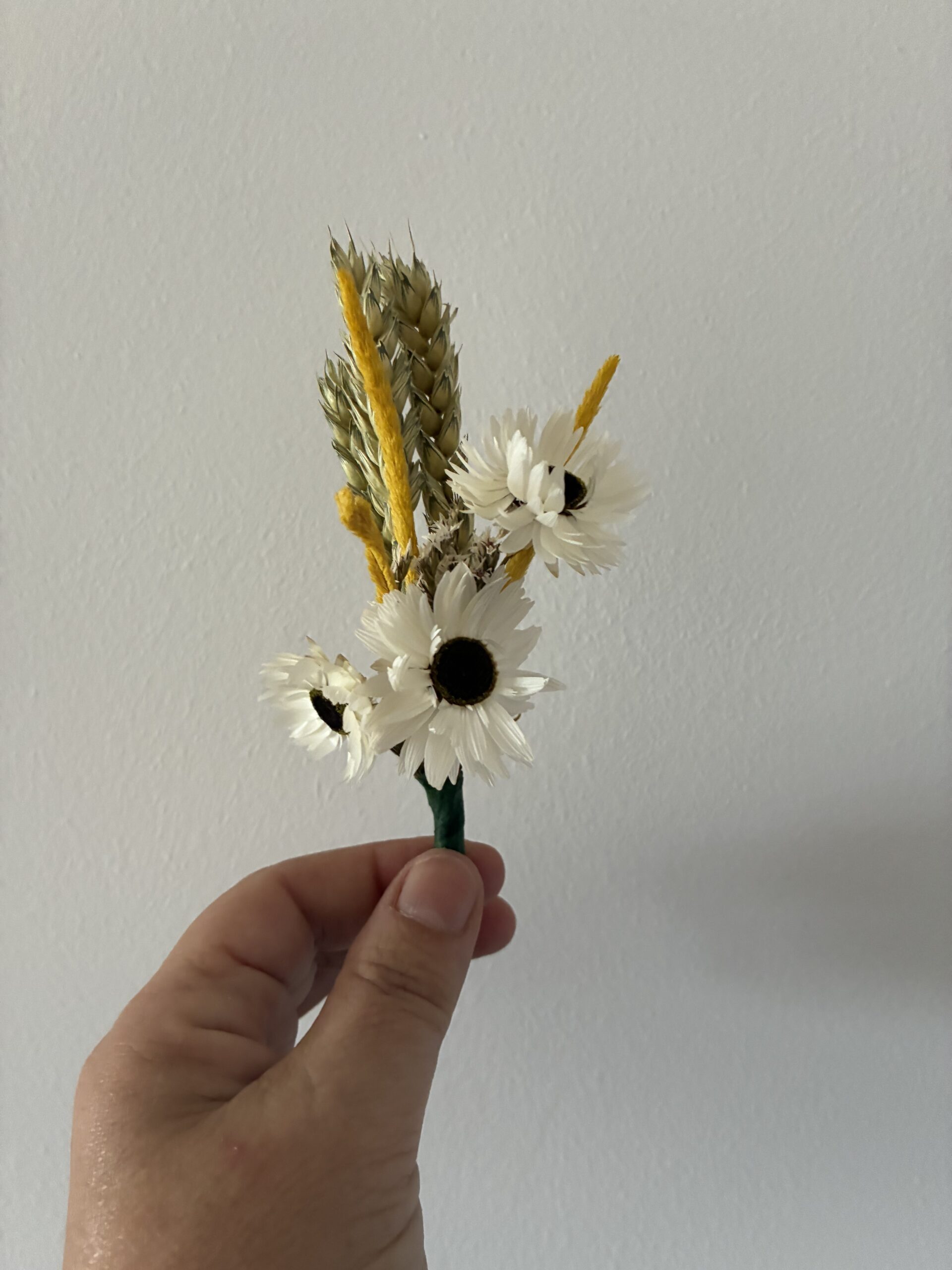 image2(3)