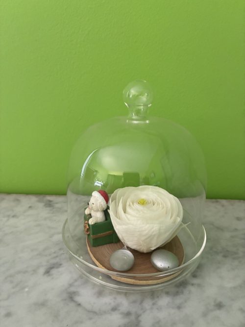 Noël Fleuri