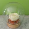 Souffle marin