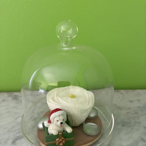 Noël Fleuri