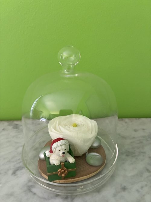 Noël Fleuri