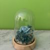 Bleu Poétique