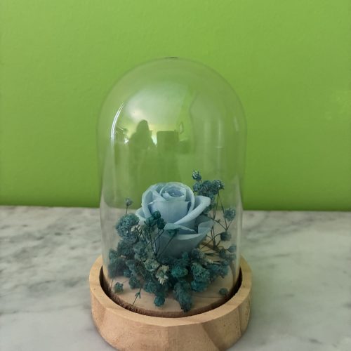Bleu Poétique